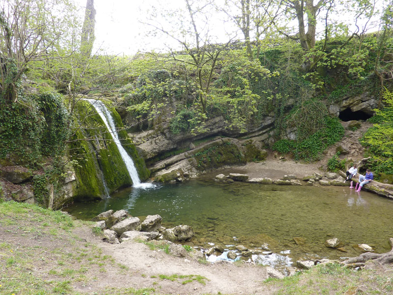 Janets Foss